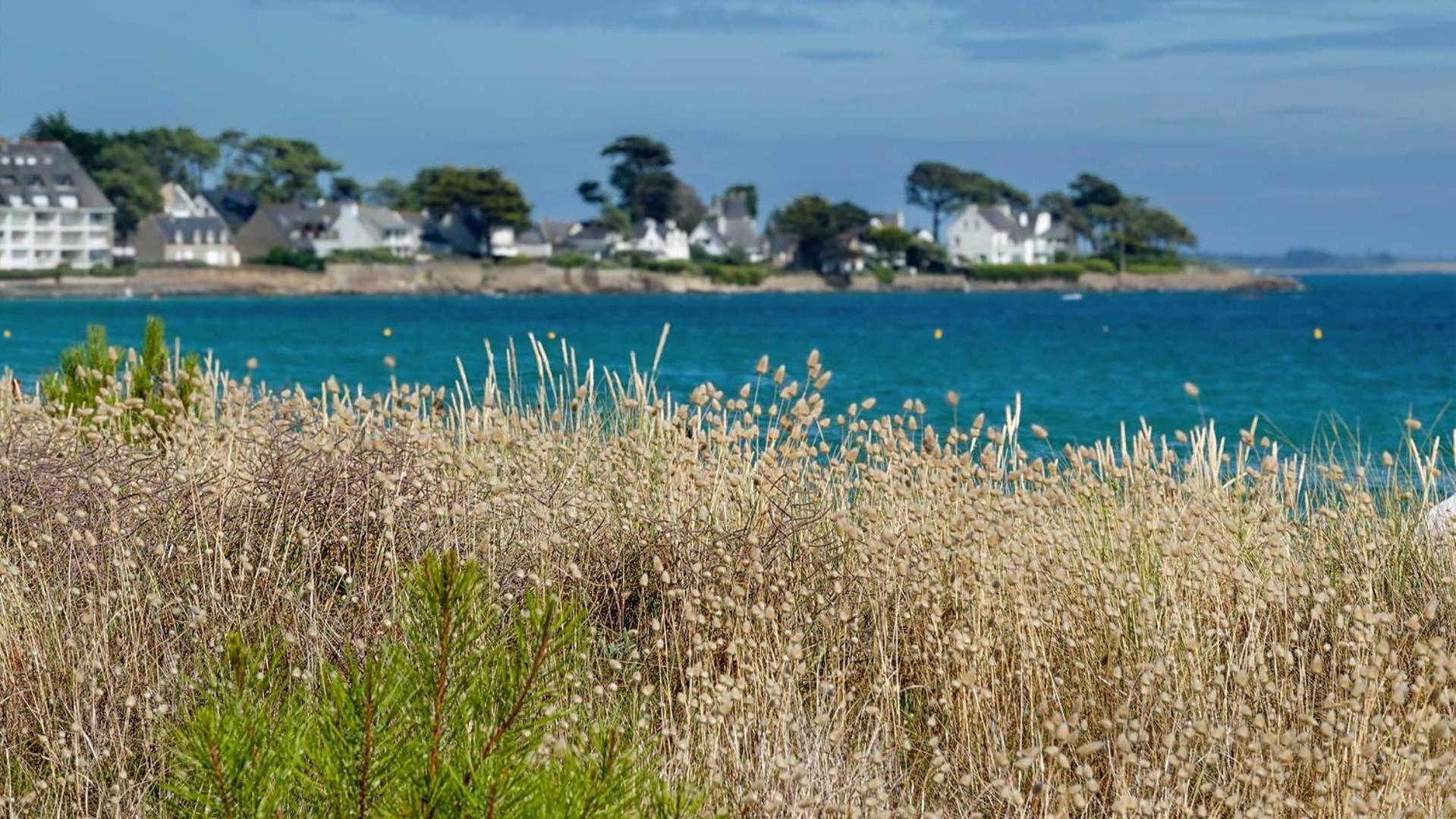 Camping Le Dolmen, Carnac, Morbihan المظهر الخارجي الصورة